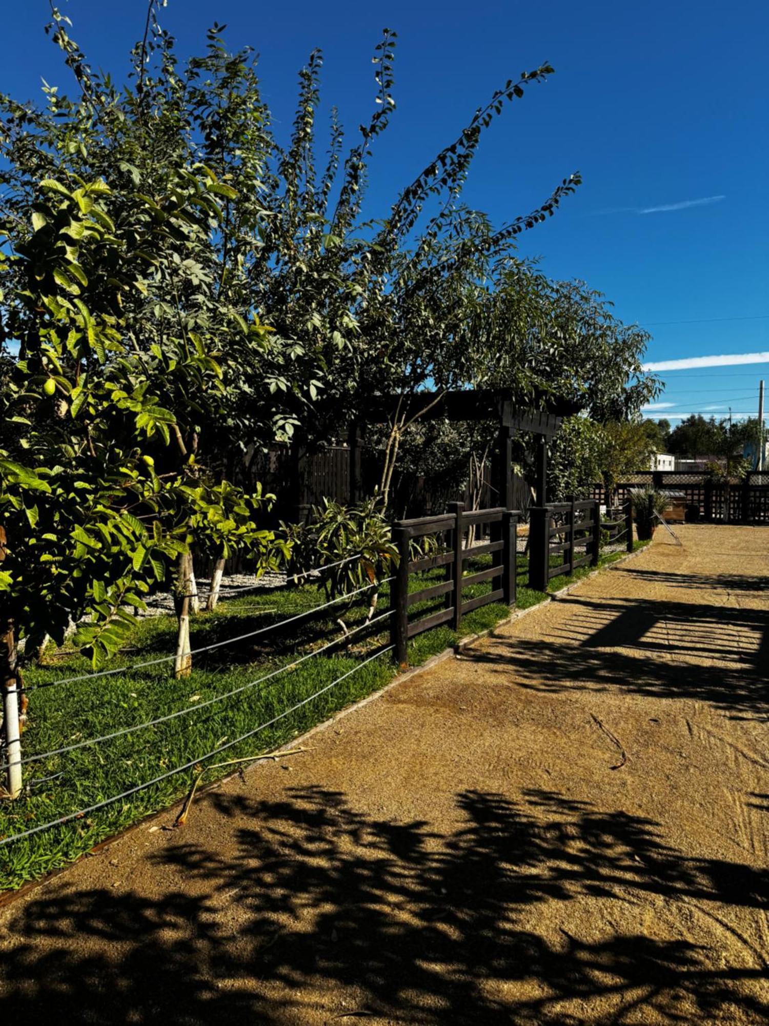 Estancita Elena Valle de Guadalupe Exterior foto